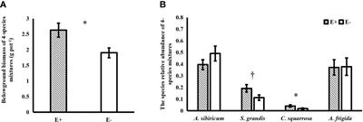 Endophytic infection increases the belowground over-yielding effects of the host grass community mainly by increasing the complementary effects